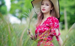 日本香港三级亚洲三级